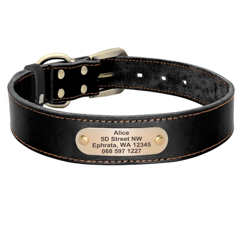 Personalized Real Leather Dog Collar & Leash Set