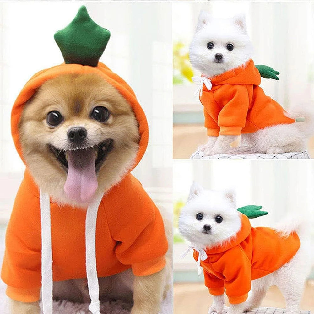 Cute Dog Hoodie with Hat