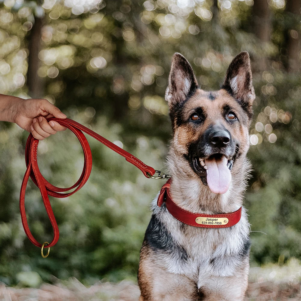 Personalized Real Leather Dog Collar & Leash Set