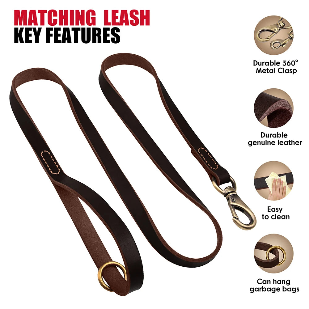 Personalized Real Leather Dog Collar & Leash Set