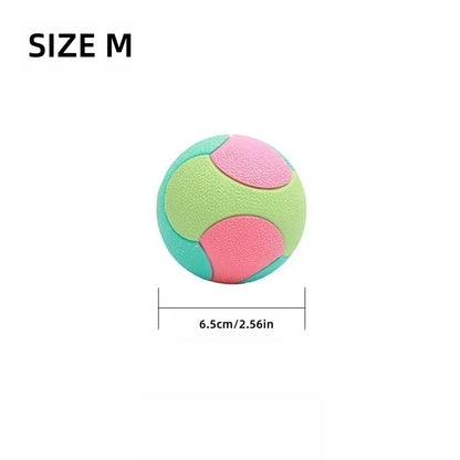 Bite-Resistant Bouncy Ball – Dog Chew & Training Toy