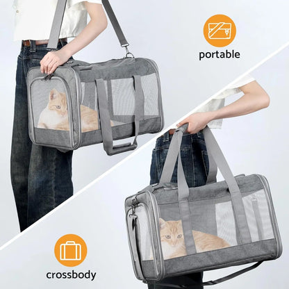 Airline Approved Pet Carrier