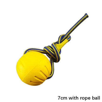 Dog Training & Bite-Resistant Toy
