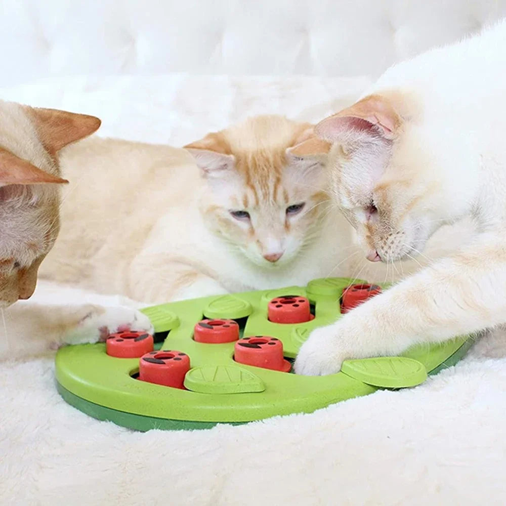 Rainy Day Puzzle & Play