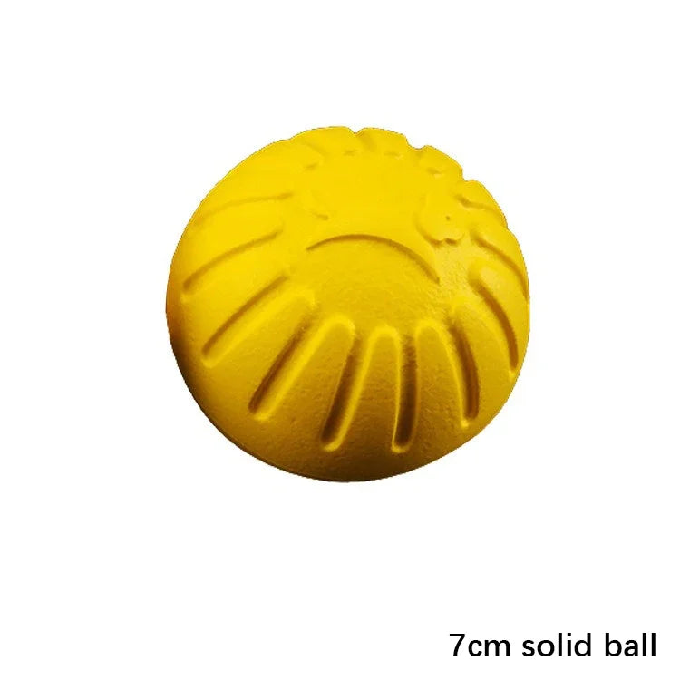 Dog Training & Bite-Resistant Toy