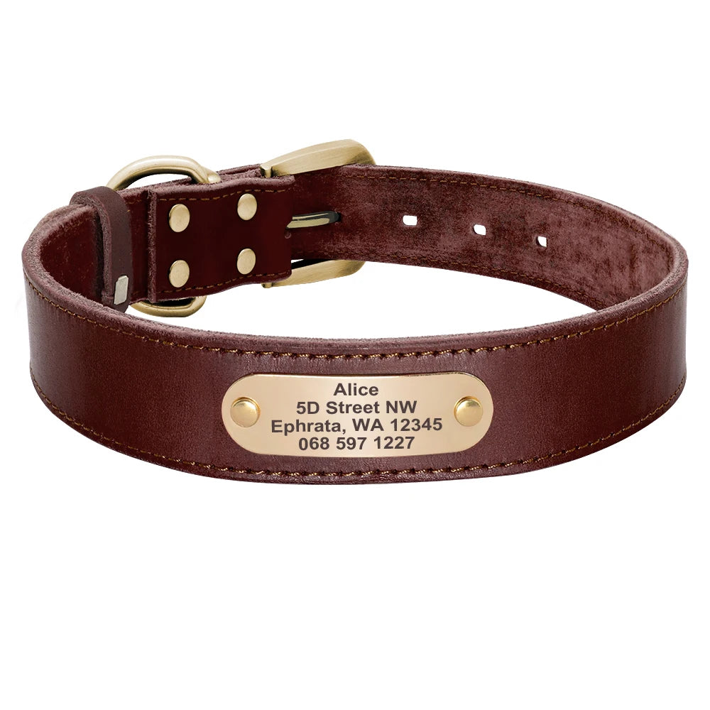 Personalized Real Leather Dog Collar & Leash Set
