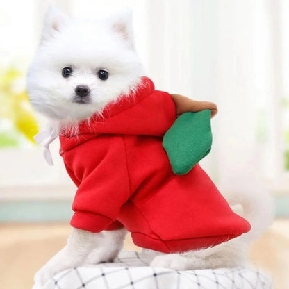 Cute Dog Hoodie with Hat