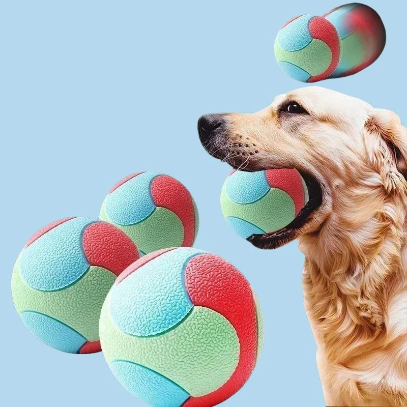 Bite-Resistant Bouncy Ball – Dog Chew & Training Toy