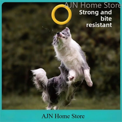 Dog Flying Disk Toy – Floating TPR Training Ring