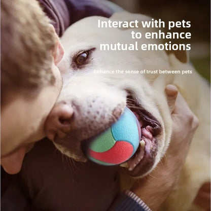 Bite-Resistant Bouncy Ball – Dog Chew & Training Toy
