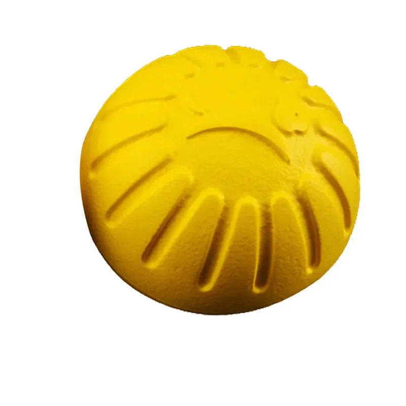 Dog Training & Bite-Resistant Toy