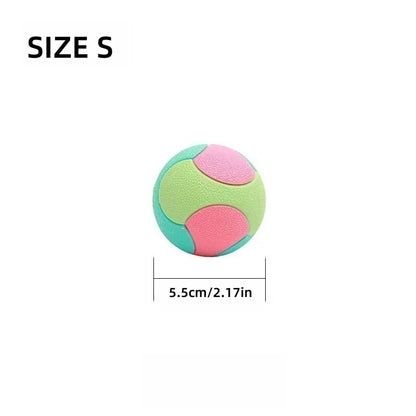 Bite-Resistant Bouncy Ball – Dog Chew & Training Toy