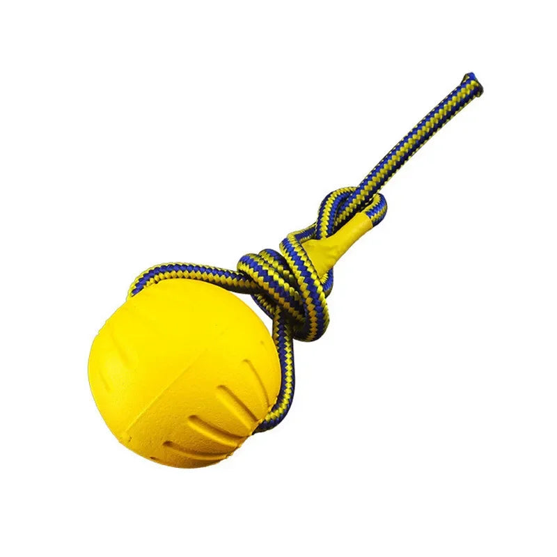 Dog Training & Bite-Resistant Toy