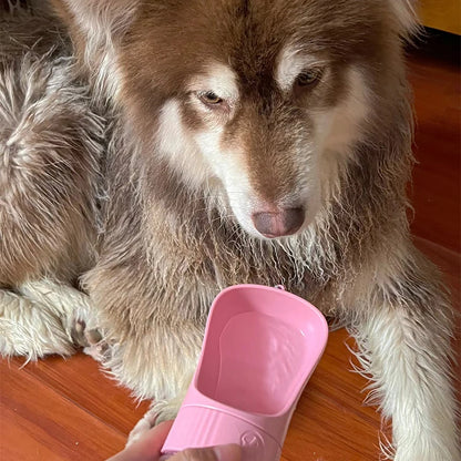 2-in-1 Portable Dog Water Bottle