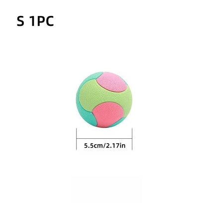 Bite-Resistant Bouncy Ball – Dog Chew & Training Toy