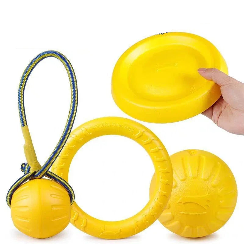 Dog Training & Bite-Resistant Toy