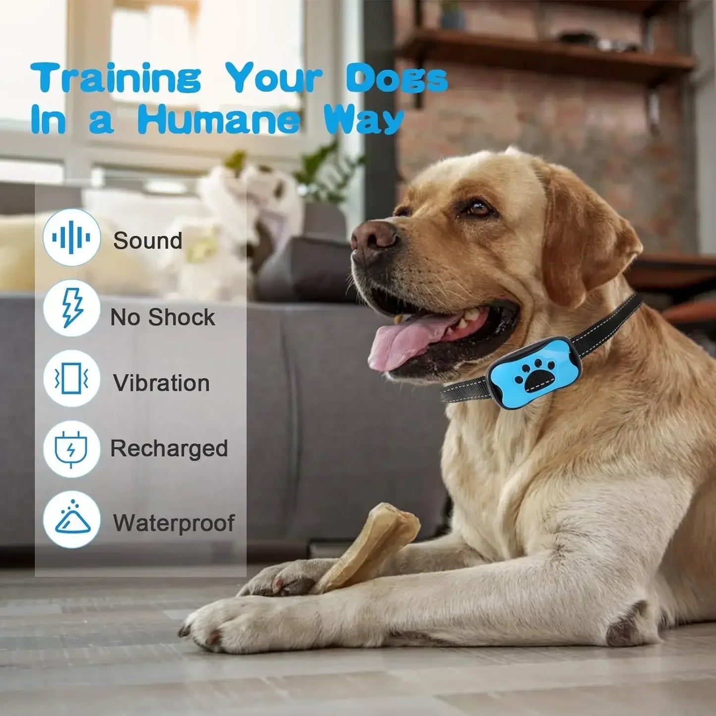 Rechargeable Anti-Bark Dog Collar