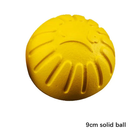 Dog Training & Bite-Resistant Toy