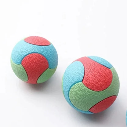 Bite-Resistant Bouncy Ball – Dog Chew & Training Toy