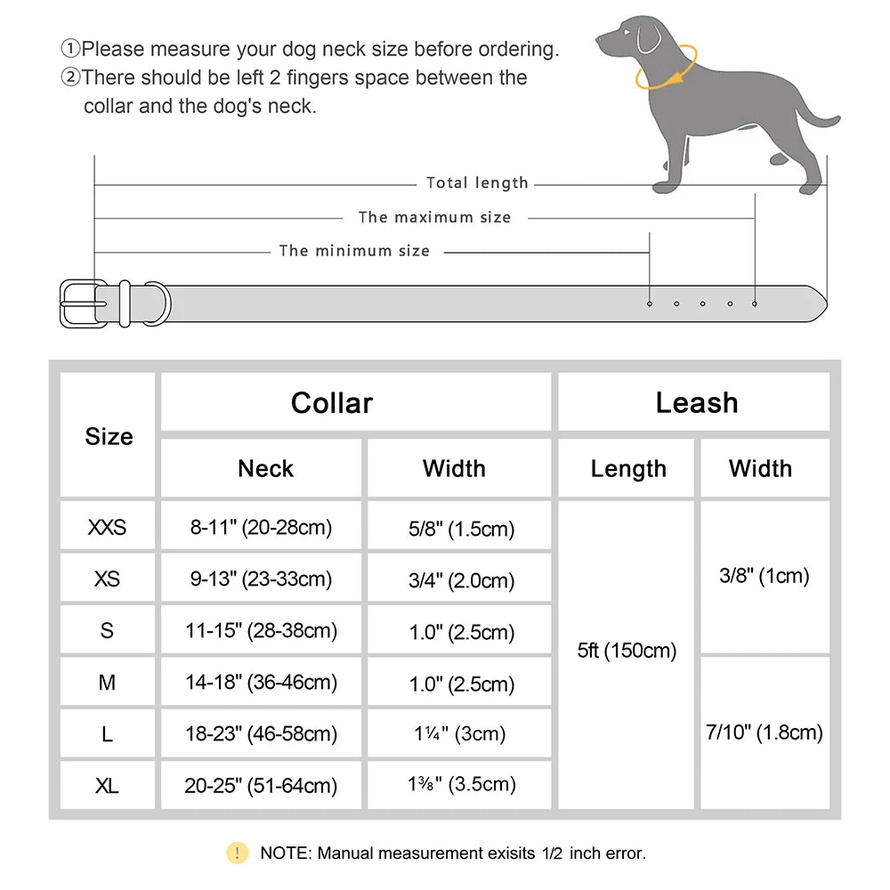 Personalized Real Leather Dog Collar & Leash Set