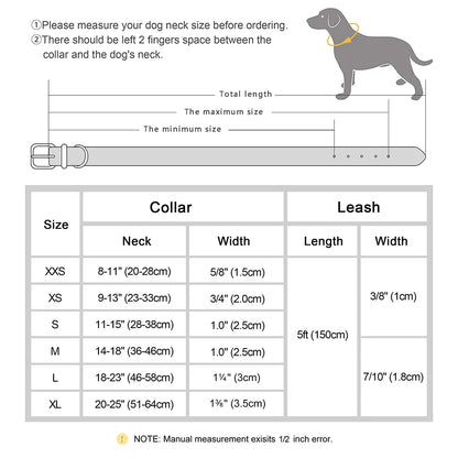 Personalized Real Leather Dog Collar & Leash Set