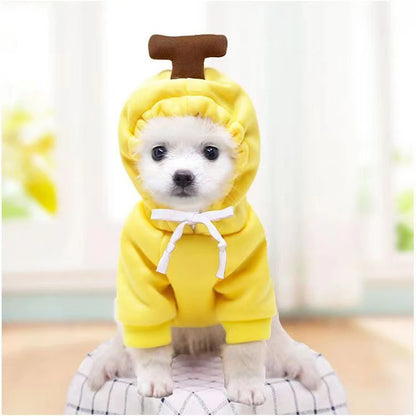 Cute Dog Hoodie with Hat