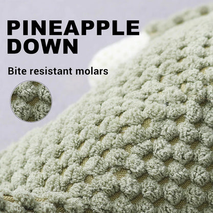 Bite-Resistant Plush Dog Toy