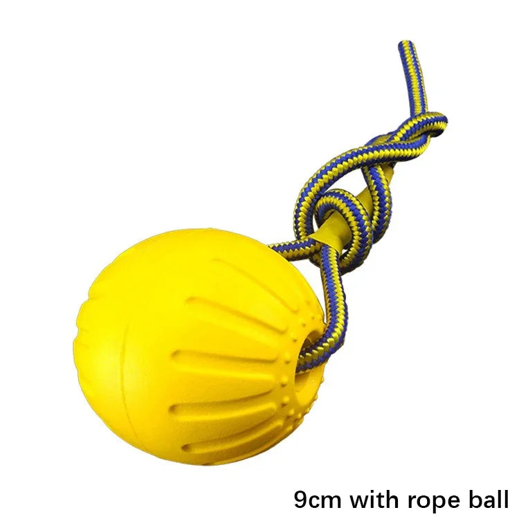 Dog Training & Bite-Resistant Toy