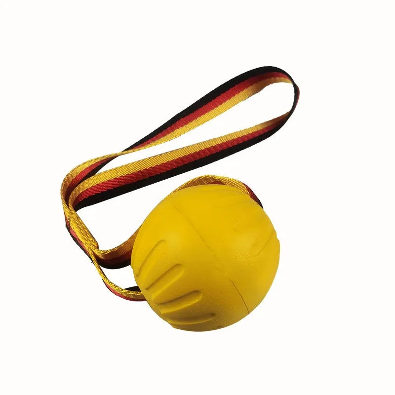 Dog Training & Bite-Resistant Toy