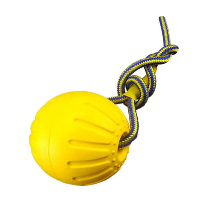 Dog Training & Bite-Resistant Toy