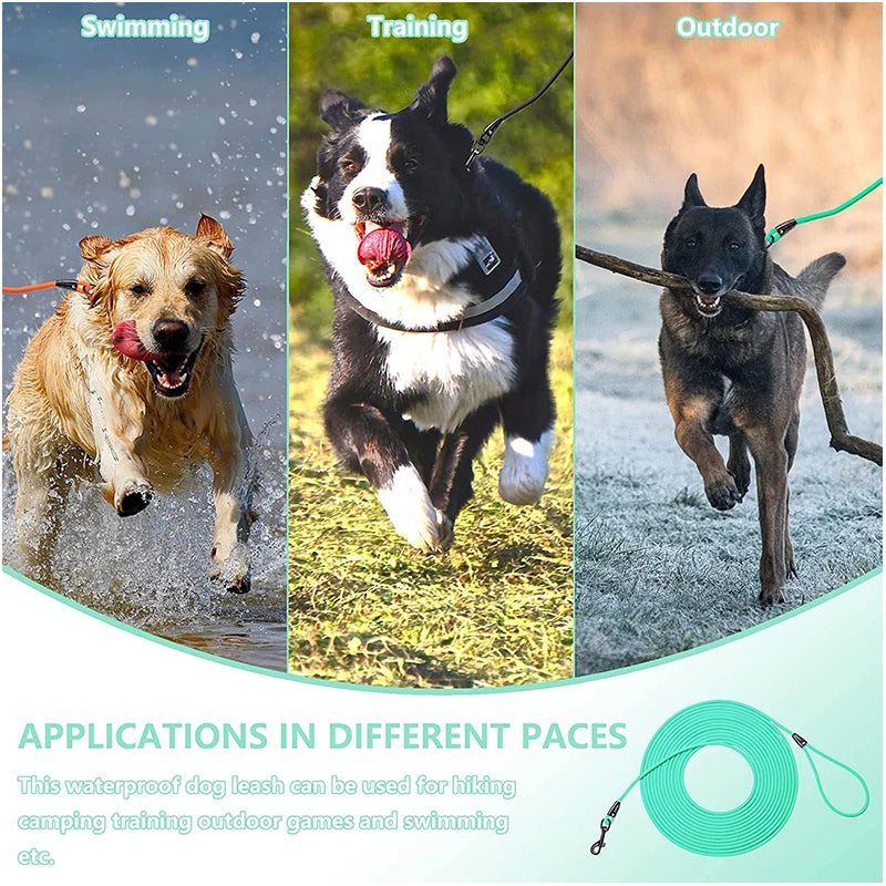 Waterproof Dog Training Leash